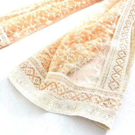 Net Lucknowi embroidery dupatta in Apricot colour