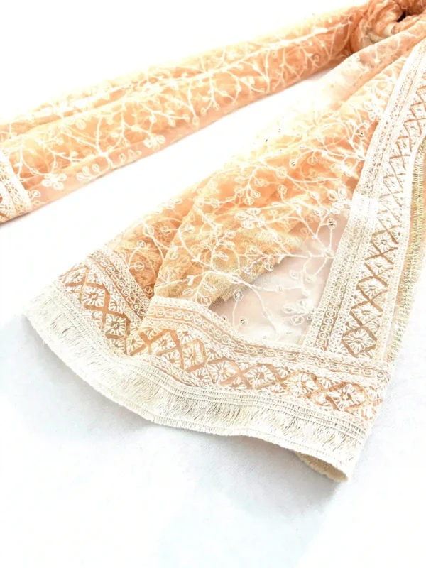 Net Lucknowi embroidery dupatta in Apricot colour