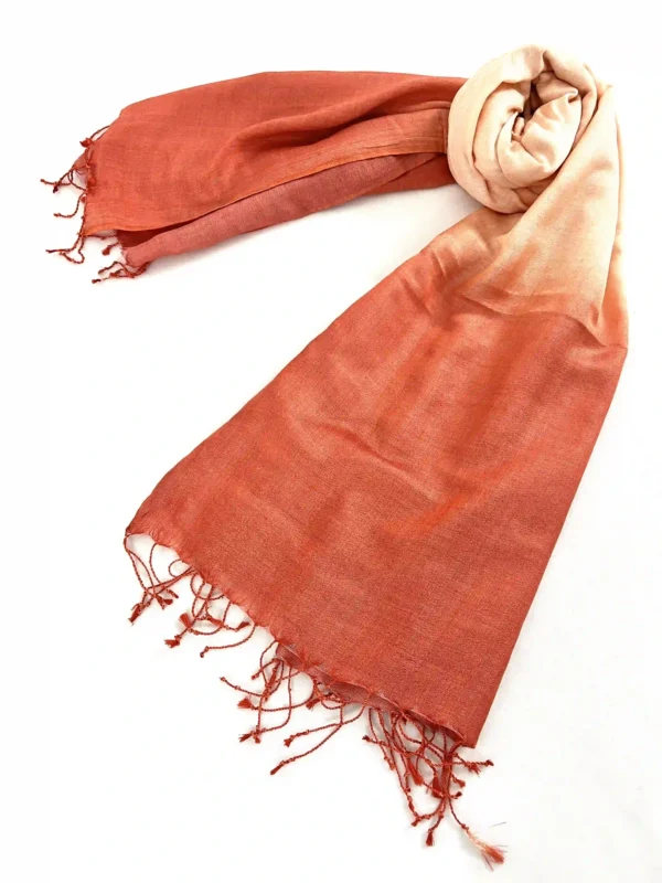 Ombre rayon Stole